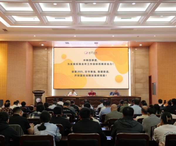 6008集团官方网站丝绸2024年三季度经济形势剖析会顺遂召开